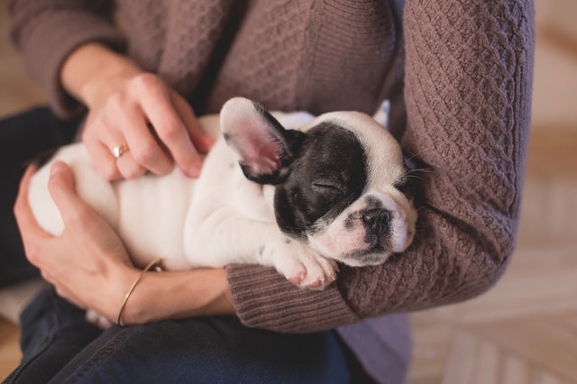 Effects of Cuddling Your Dog on Your Health